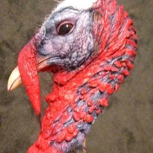 Meet your Posher, Rick